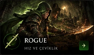 Rogue okçu